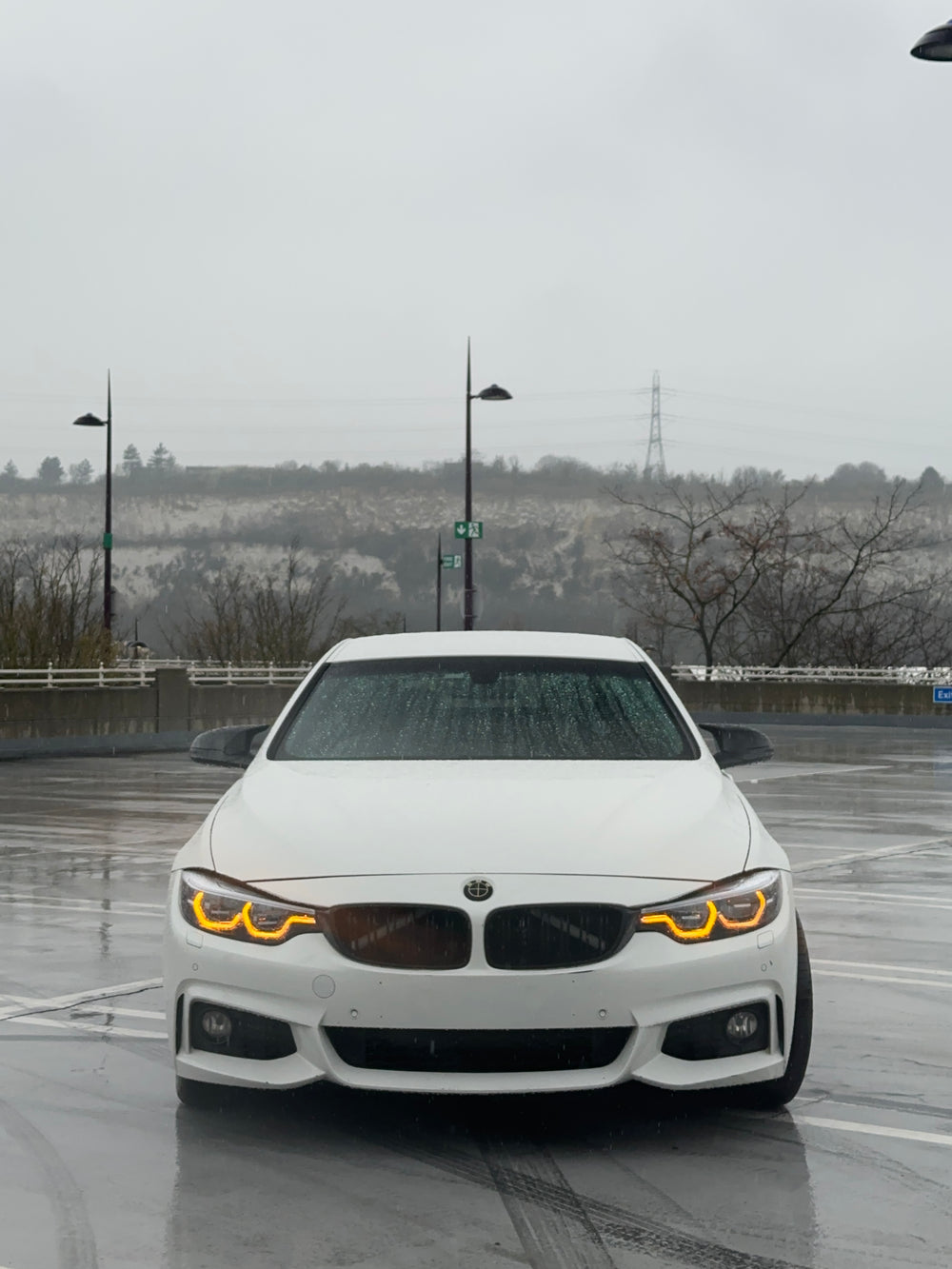 F36